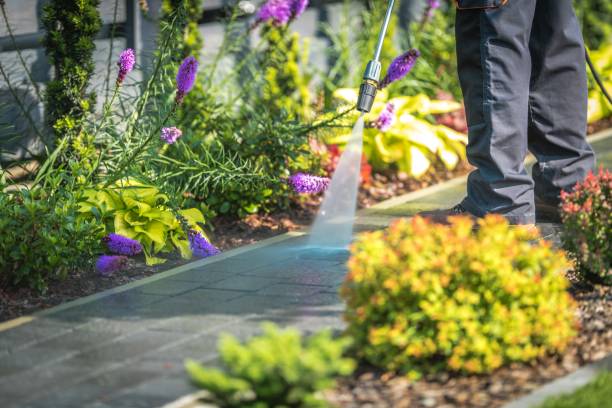 Best Pool Deck Cleaning  in Hattiesburg, MS