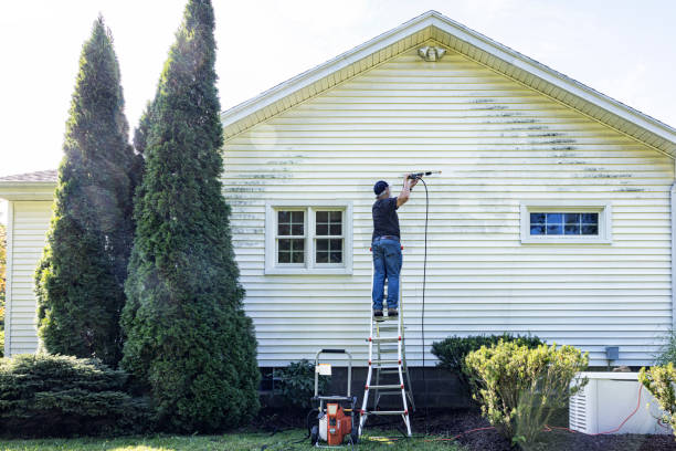 Professional  Pressure Washing Services in Hattiesburg, MS